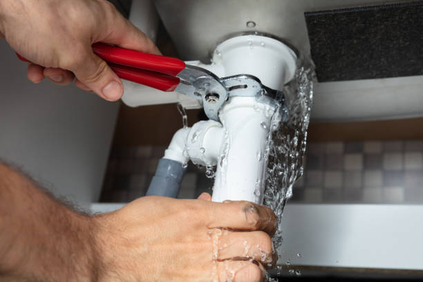 Best Ceiling water damage repair  in Whiteriver, AZ