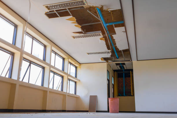 Water damage restoration mold remediation in AZ