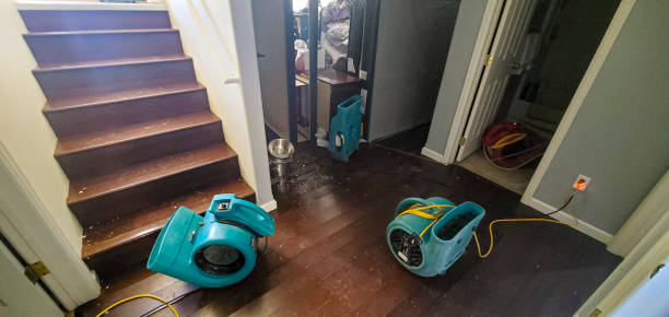 Best Water damage restoration company  in Whiteriver, AZ