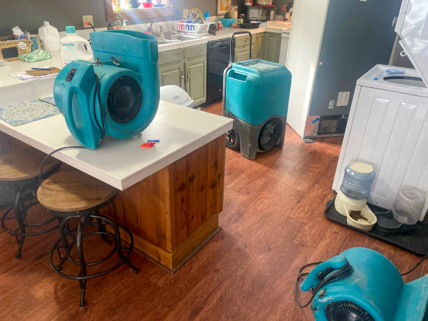 Best Basement water damage restoration  in Whiteriver, AZ