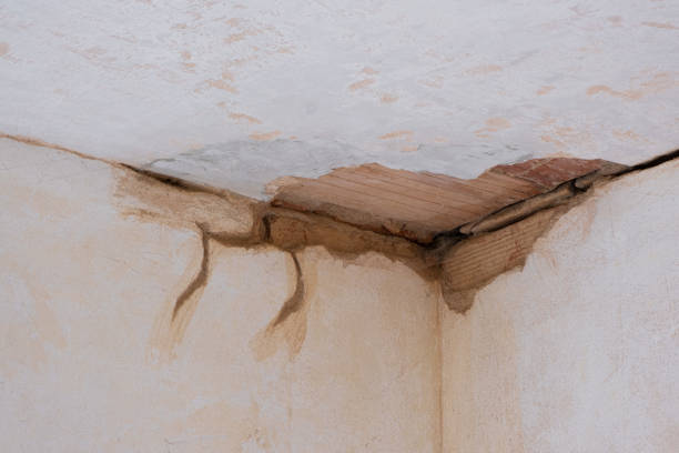 Best Residential water damage restoration  in Whiteriver, AZ