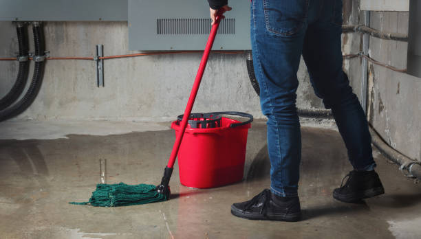 Best Flood restoration services  in Whiteriver, AZ