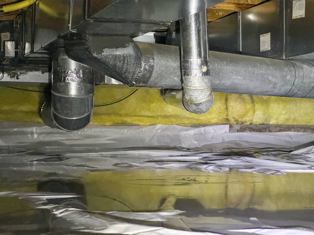 Best Sewage cleanup and water damage restoration  in Whiteriver, AZ
