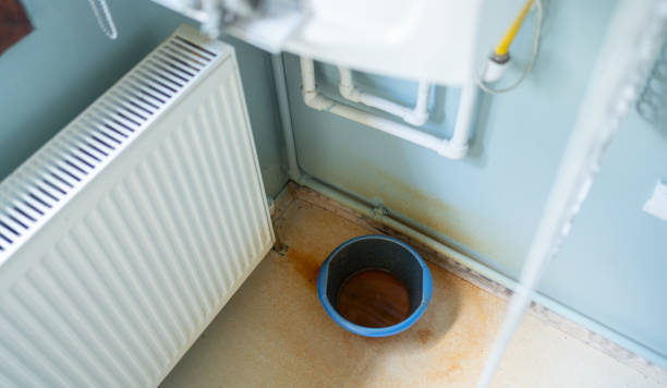 Best Professional water damage repair  in Whiteriver, AZ