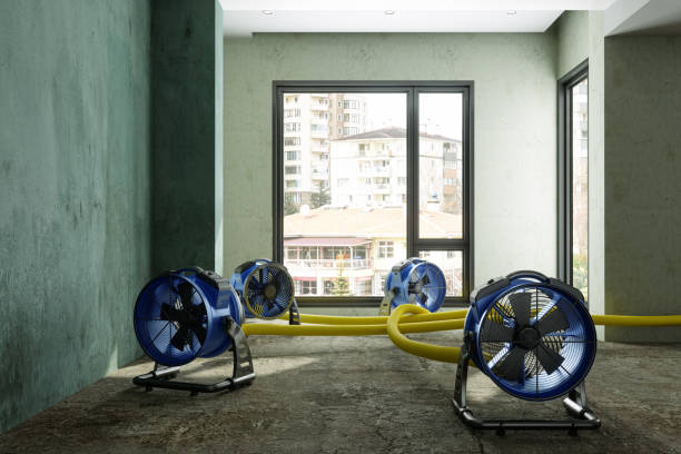 Best Emergency water damage restoration  in Whiteriver, AZ